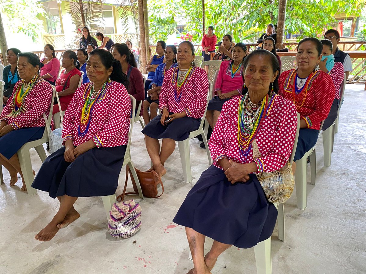 📌#Napo | En un esfuerzo por integrar la medicina ancestral con la atención moderna, <a href="/Salud_Ec/">Ministerio de Salud Pública 🇪🇨</a> certificó a 14 parteras ancestrales de los cantones de #Tena y #Archidona, provincia de #Napo. 

Más en 👉: n9.cl/j7pk48