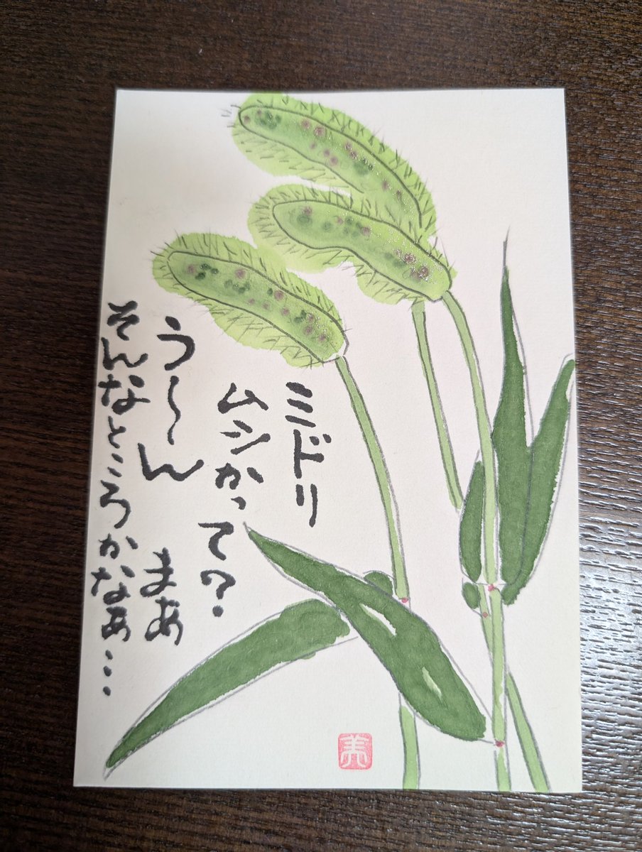 ミドリムシ様 リクエスト 6点 まとめ商品 ミドリムシ - Search / X