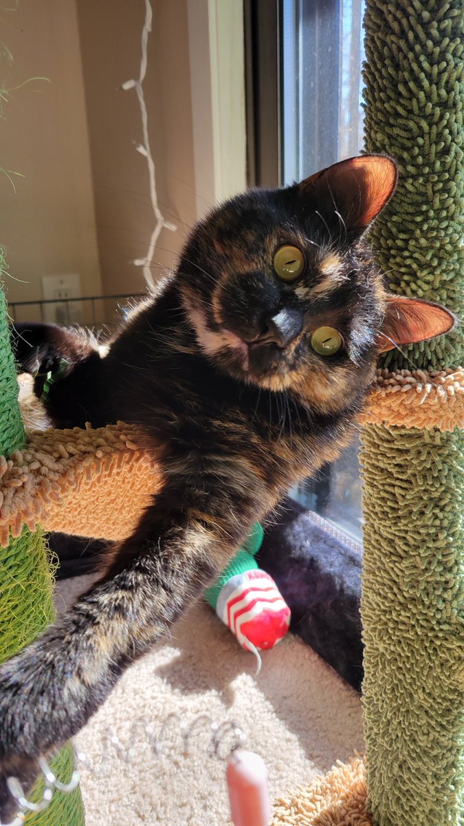 CAN YOU PLEASE EITHER DO "I'M LIKE AMERICAN GRAFFITI" OR "PEACH" FOR MY BABY PEACHES