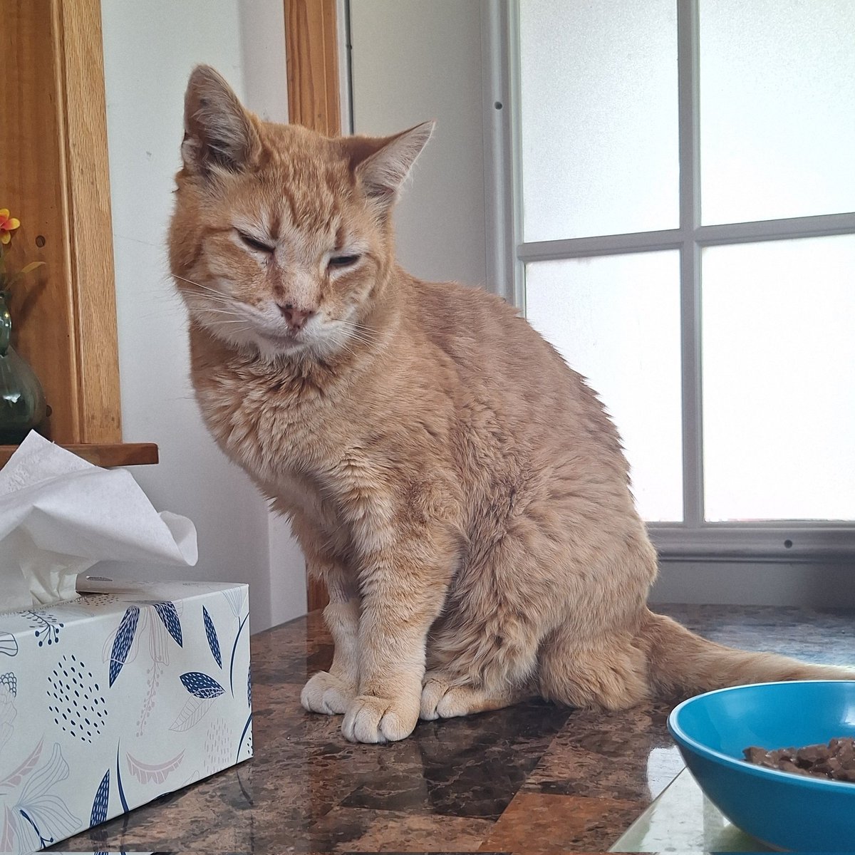 Cheddar Biscuits 🧡🧡 tweet media