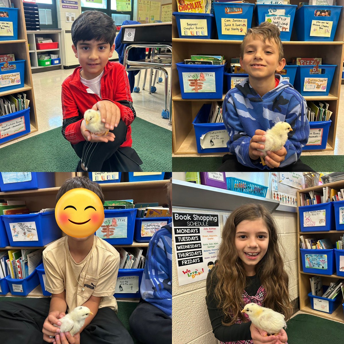 This week we got to meet some adorable little chicks! Thank you, Mrs. MacRitchie, for such a fun and memorable experience 🐣 <a href="/CopperHillES/">Copper Hill</a>