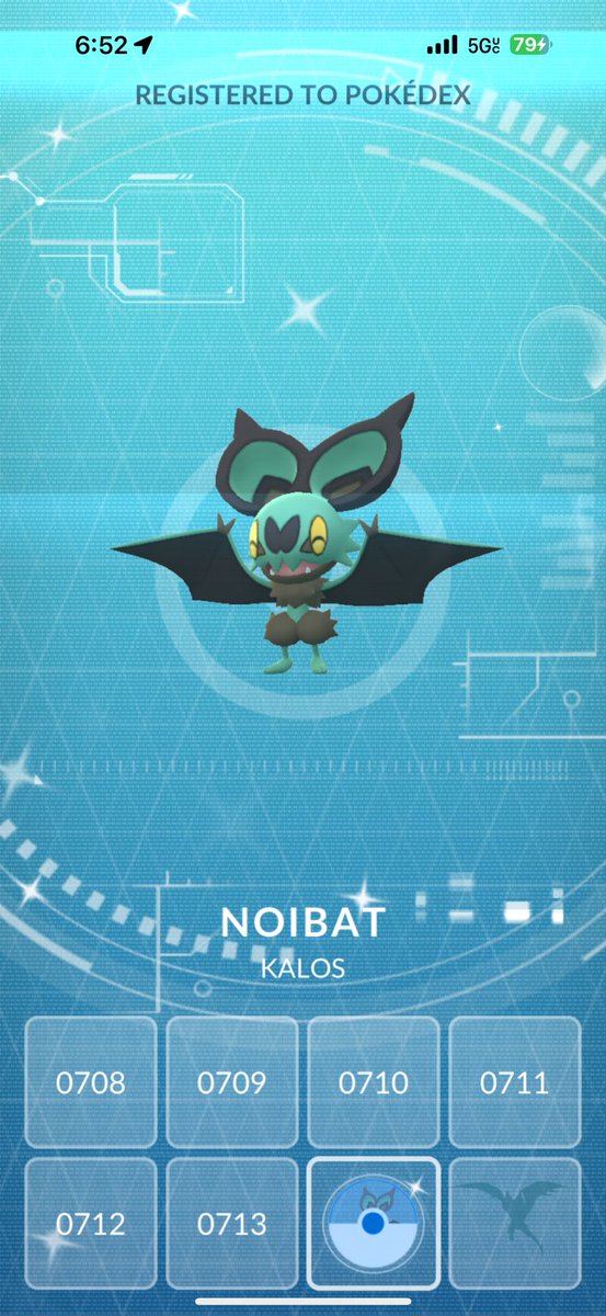 天導刃の青龍・カリン Fans RD 🇩🇴 tweet media