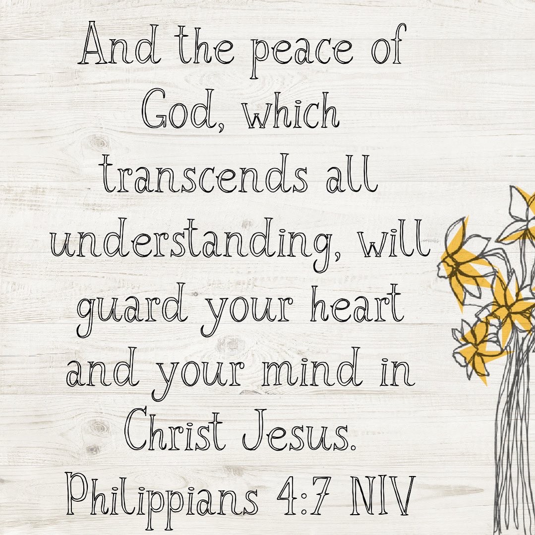 Wise CCC tweet media