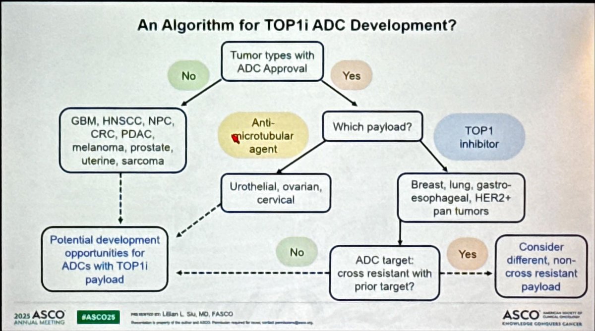jsoriamd's tweet image. Algorithmic approach to TOP1i ADCs maps tumor types & cross-resistance to optimize payload decisions. Unique opportunities in hard-to-treat cancers like GBM, HNSCC, PDAC? . #ADC #PrecisionOncology #ASCO25