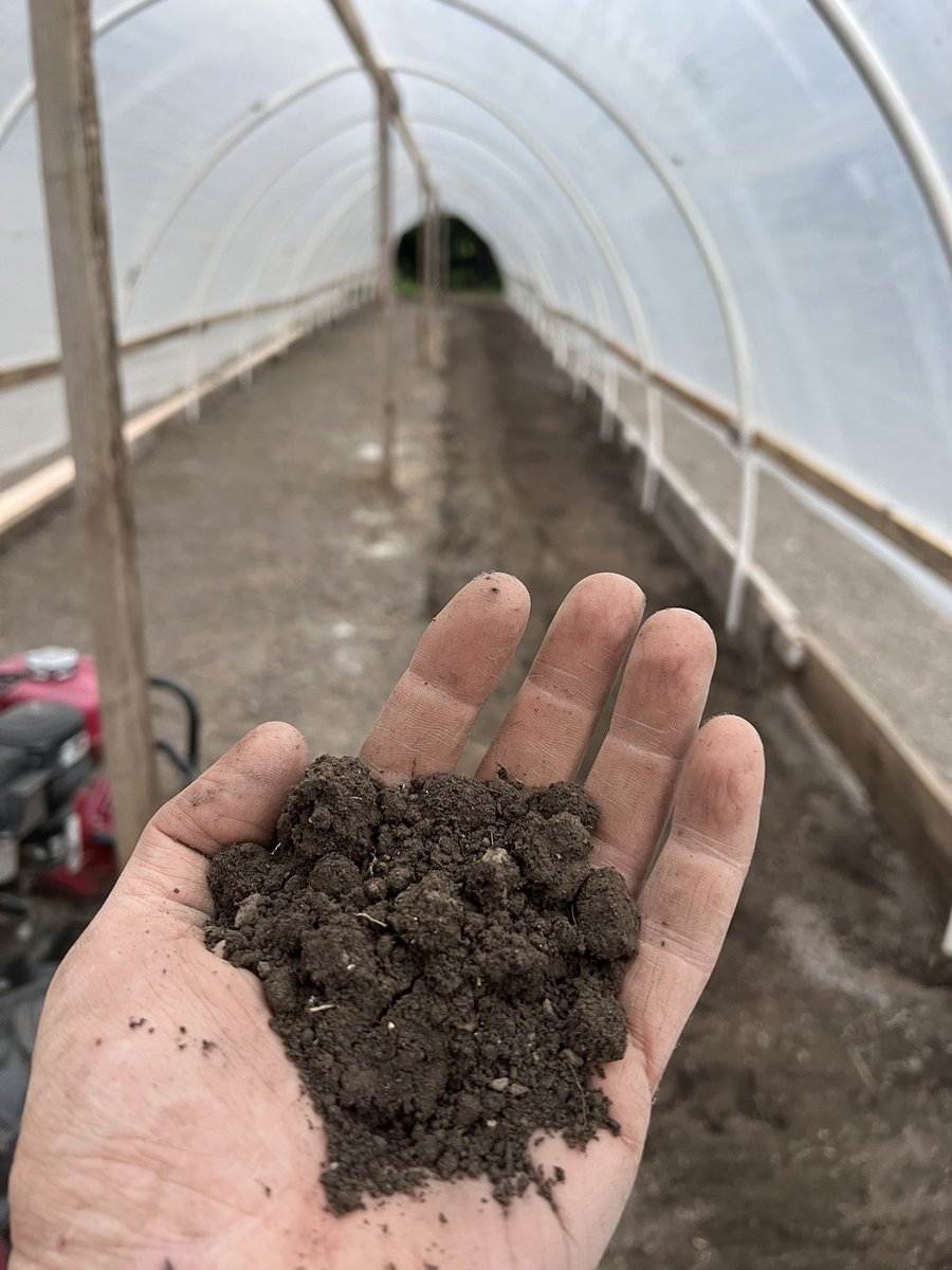 GalacticFarmer1's tweet image. 🌱 Soil is the Soul of Craft Cannabis 🌍
True terroir starts beneath our feet. When we grow in native soil using regenerative practices, we’re not just cultivating plants — we’re cultivating place.
Living soil = richer terpene profiles, stronger plants, and flower that…