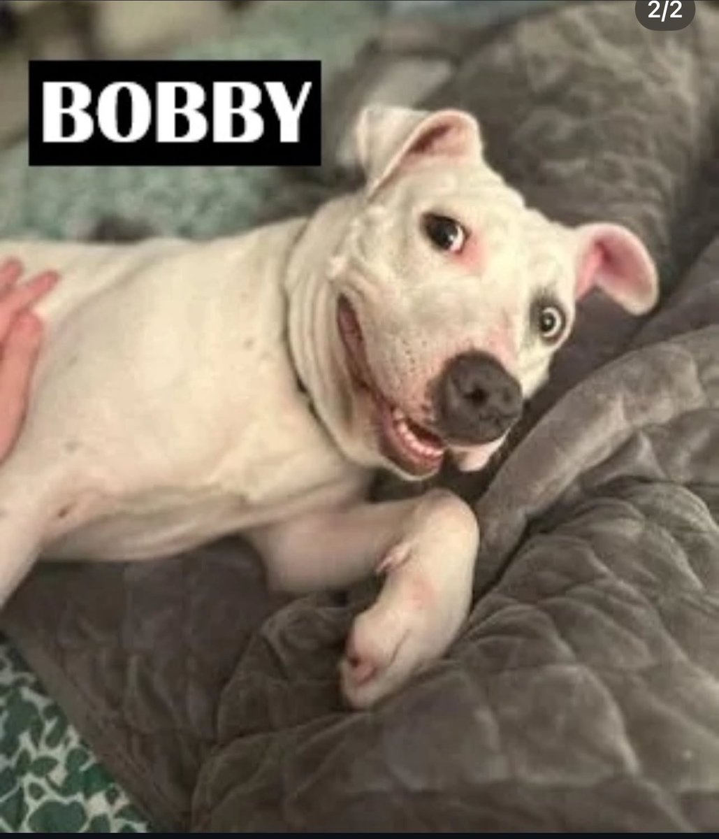 The real big dogs of the morning show 😅😅 saw it on the IG page.
<a href="/1053SS/">Shan Shariff</a> <a href="/Peyton_Russell1/">Peyton Russell</a> <a href="/BobbyBeltTX/">Bobby Belt</a> <a href="/rjchoppy/">RJ Choppy</a> 
in case you looking for a friend.