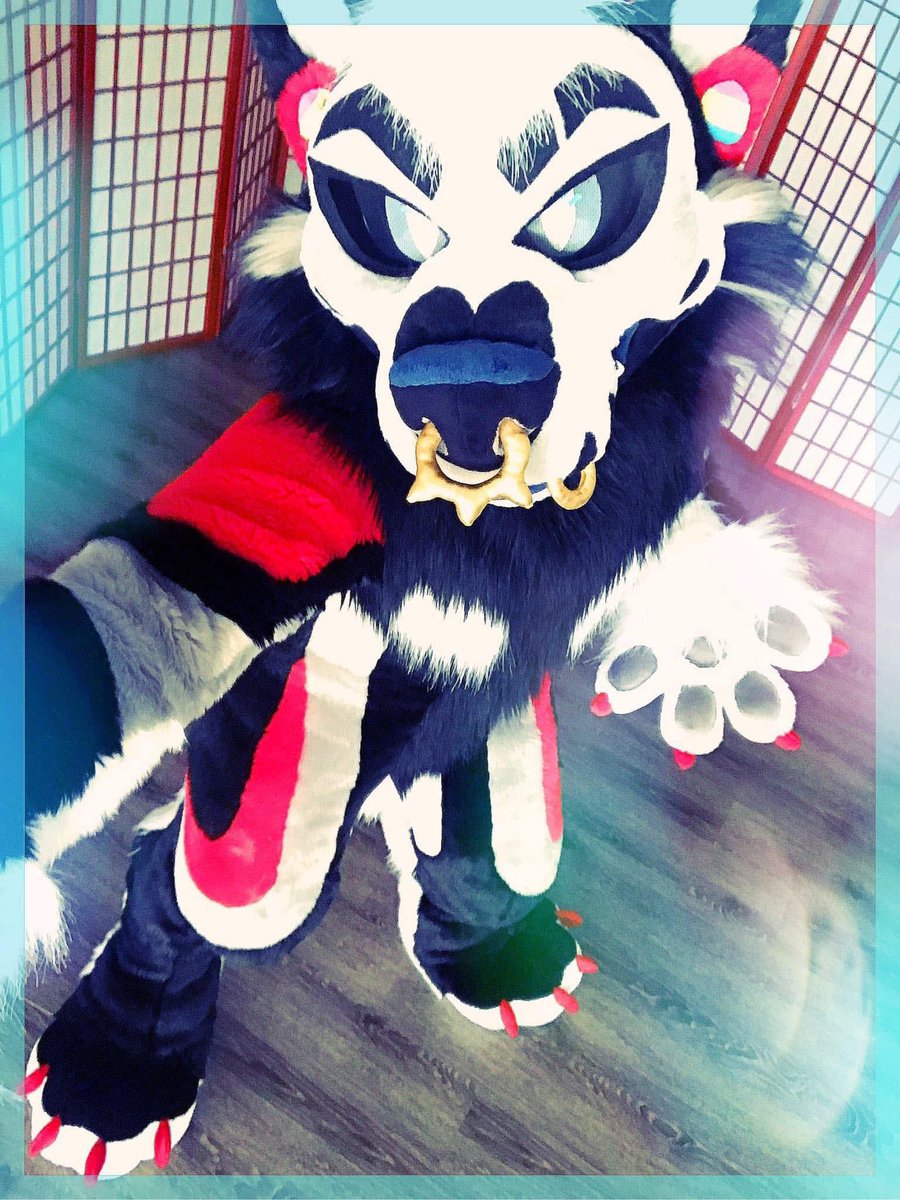 Raze ➡️ FWA 🔥🍻 // (@twilight_saint) on Twitter photo If it’s even a little important to you, then it’s definitely worth a shot💎
#fursuit #fursuits #furry #furries If it’s even a little important to you, then it’s definitely worth a shot💎
#fursuit #fursuits #furry #furries