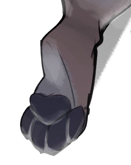 Demonium (@demonium_nox) on Twitter photo My fault for being so quiet I got a new job and all. I’ll try to start posting again so here some beans you can admire My fault for being so quiet I got a new job and all. I’ll try to start posting again so here some beans you can admire