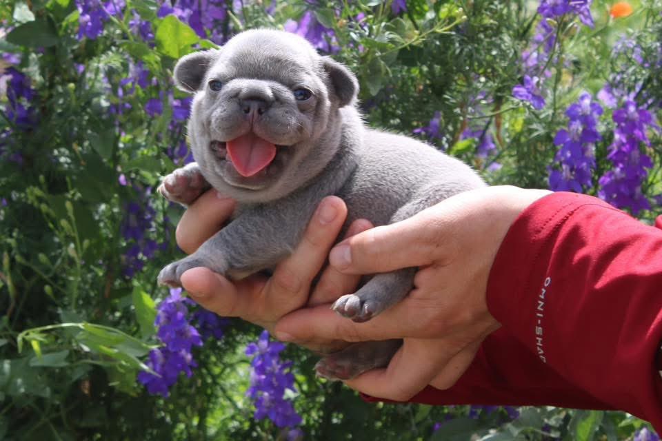 🦀PITT tweet media