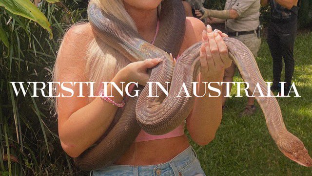 new vlog 🐨💫✈️💘

youtu.be/PaQtulW7Xuk?si…