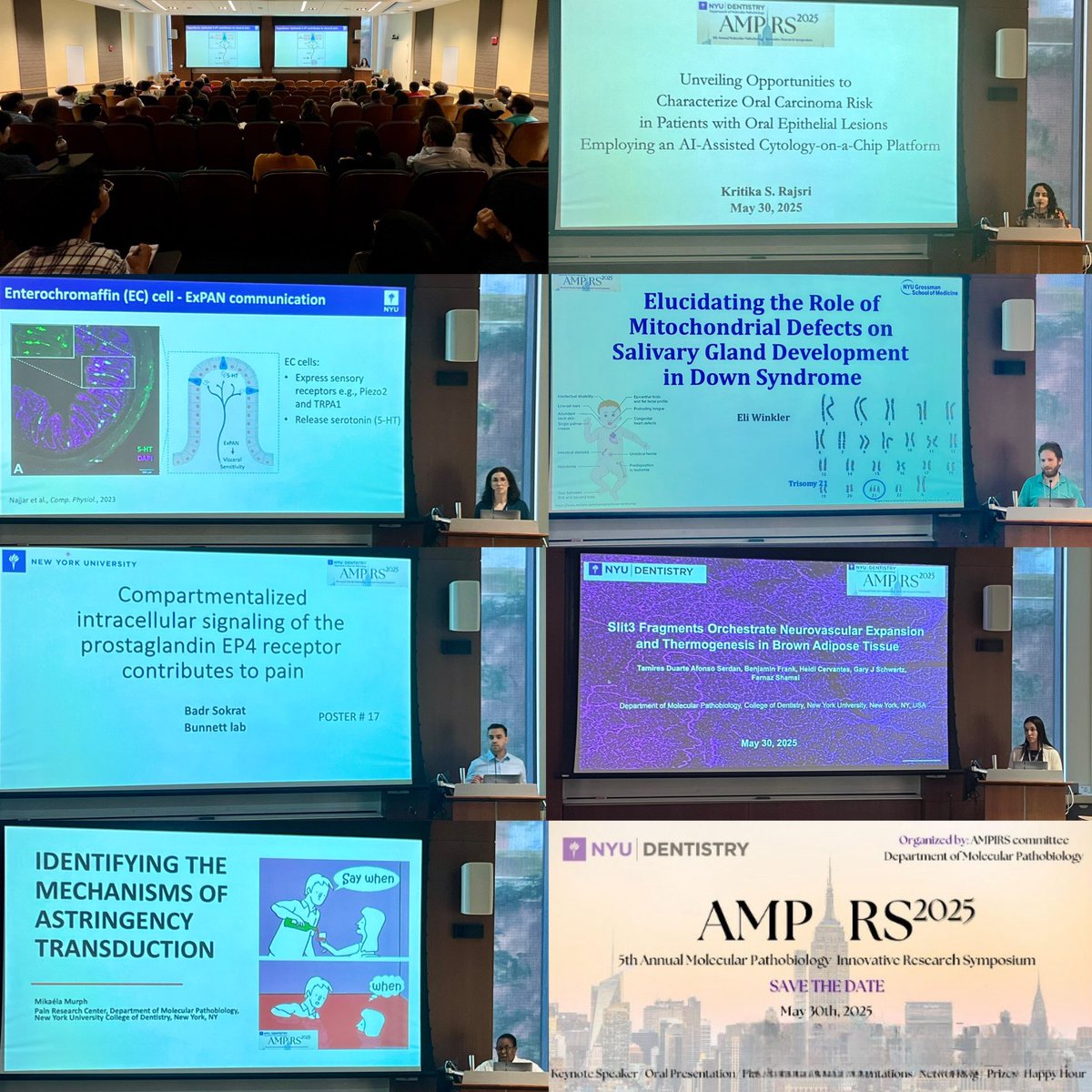 NYU Pain Research Center (@nyupainresearch) on Twitter photo 🎤 BLINK AND YOU'LL MISS IT: FLASH TALKS AT THE 5TH ANNUAL AMPIRS! ⚡ This year’s Flash Talks were a whirlwind of brilliance 🎤one mic, infinite insight. And WOW, did our presenters deliver! 👏PRC representing! #PRCpride #violetpride <a href="/NYUDental/">NYU Dentistry</a> <a href="/nyuniversity/">New York University</a> 🎤 BLINK AND YOU'LL MISS IT: FLASH TALKS AT THE 5TH ANNUAL AMPIRS! ⚡ This year’s Flash Talks were a whirlwind of brilliance 🎤one mic, infinite insight. And WOW, did our presenters deliver! 👏PRC representing! #PRCpride #violetpride <a href="/NYUDental/">NYU Dentistry</a> <a href="/nyuniversity/">New York University</a>
