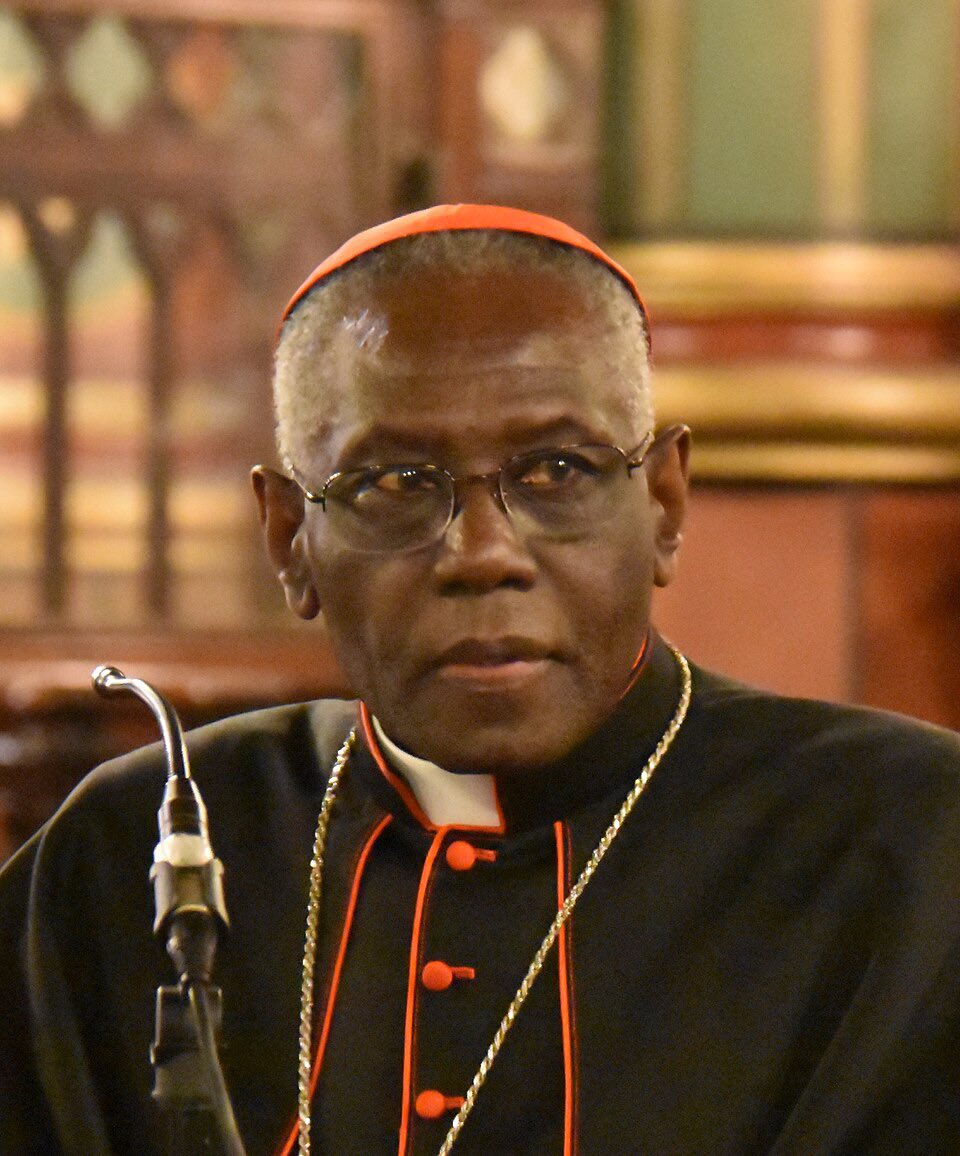 “Gender ideology is a Luciferian refusal to receive a sexual nature from God. It is the ultimate rebellion against the Creator.”
— Cardinal Robert Sarah, The Day Is Now Far Spent