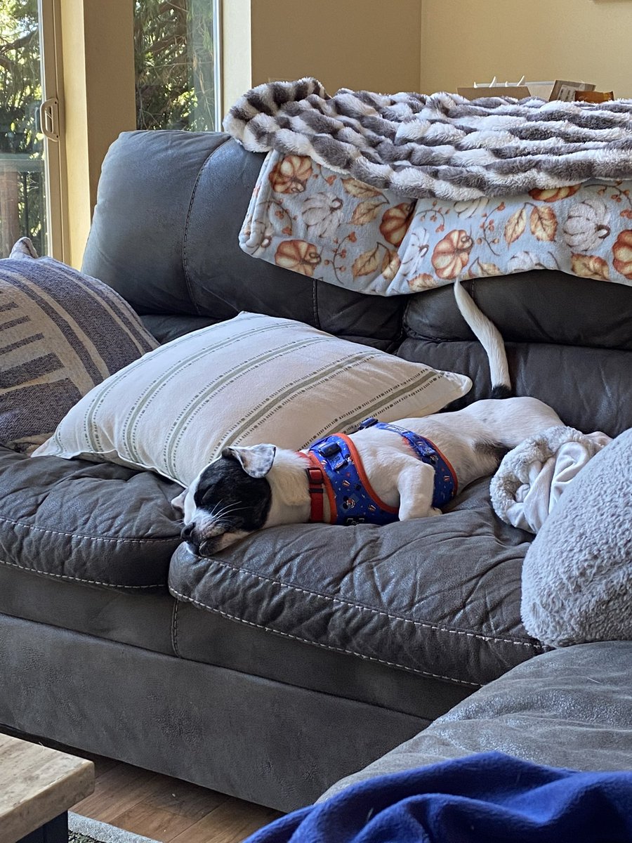 Big time <a href="/NevadaWolfPack/">Nevada Wolf Pack 🐺</a> Friyay vibe today