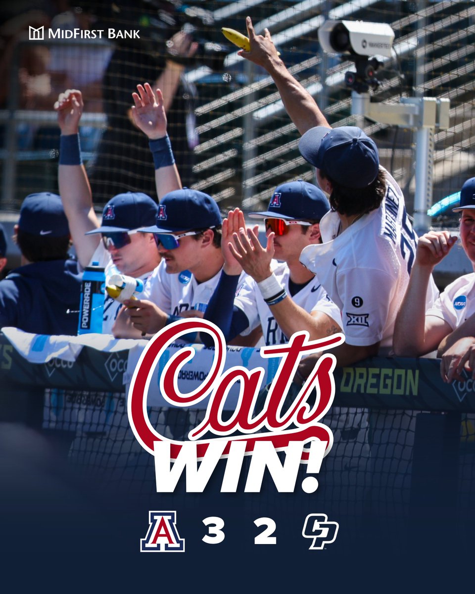 WIN COLUMN CATS