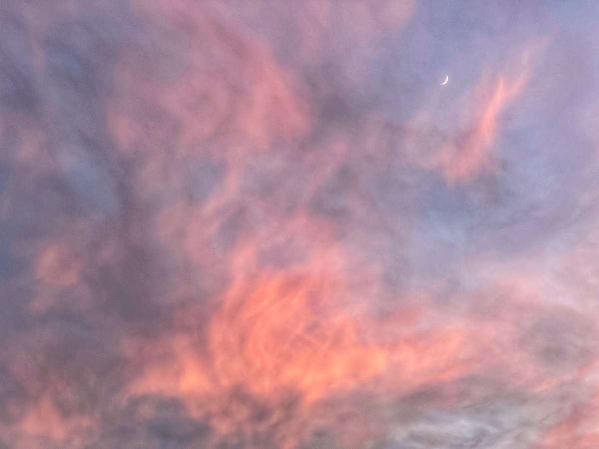 Find the moon

#yeg #alberta #evening #sky #clouds #sunset #weather #yegwx