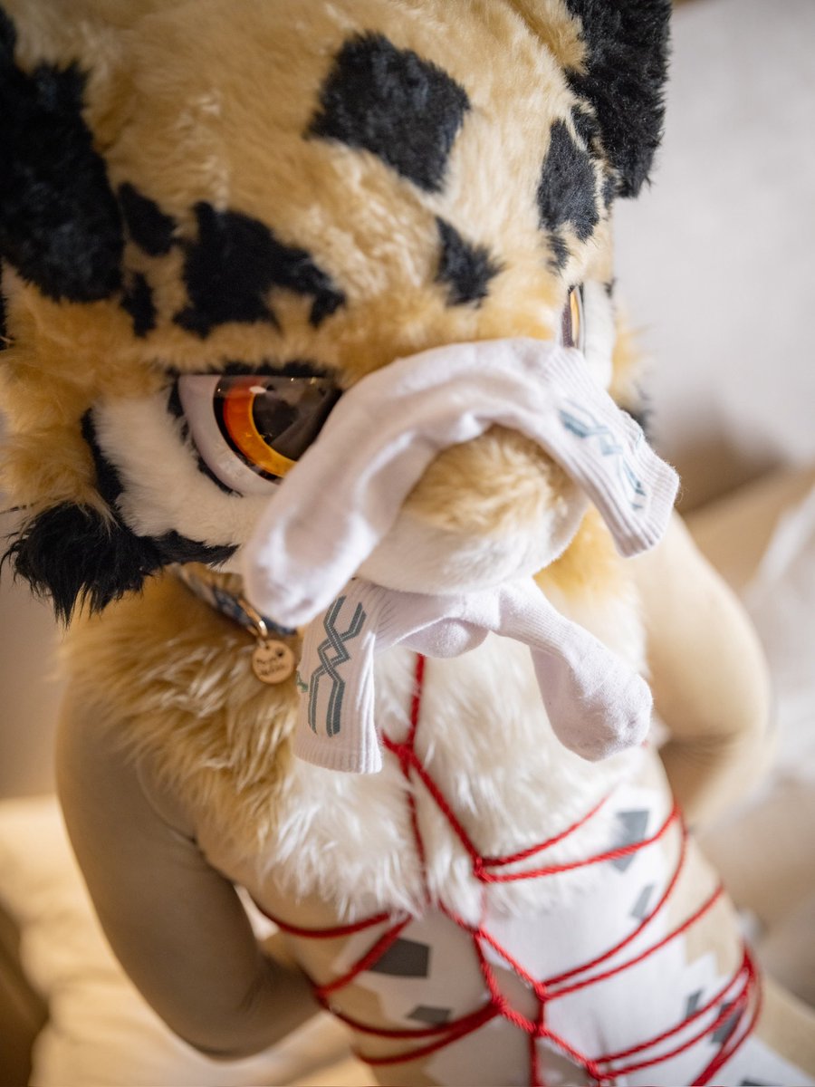 粽子节快乐呢

🪢&amp;📷：佑诺