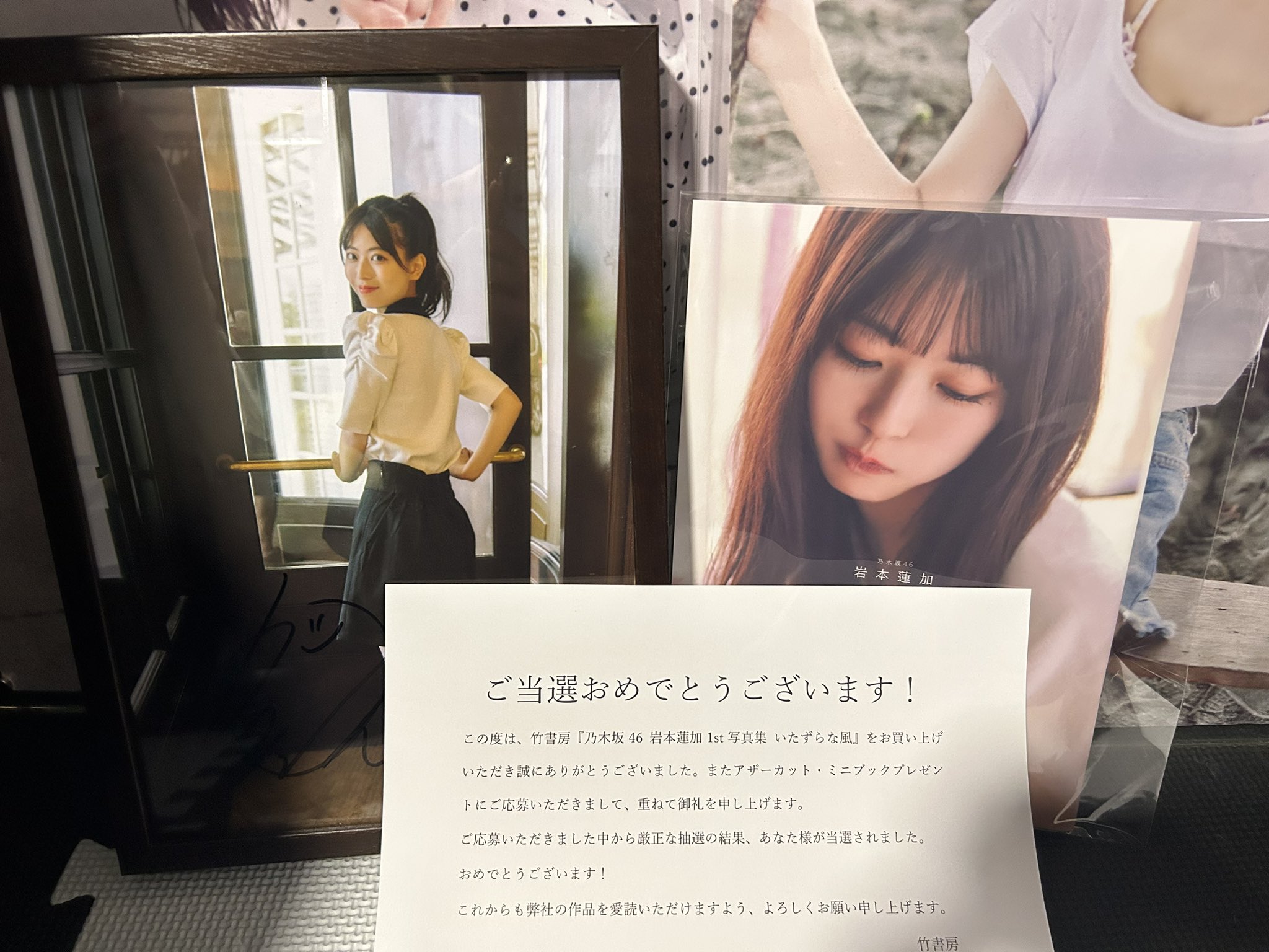乃木坂46 岩本蓮加写真集　いたずらな風　アザーカットミニブック 乃木坂46 岩本蓮加 写真集 いたずらな風 アザーカットミニブック