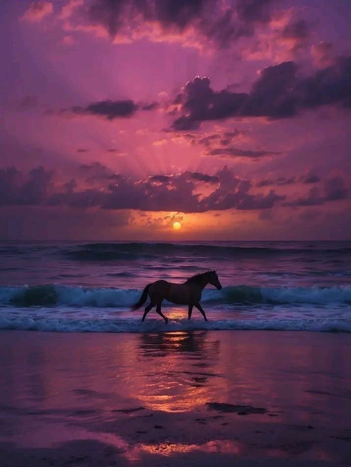 harmonyexplore2's tweet image. 