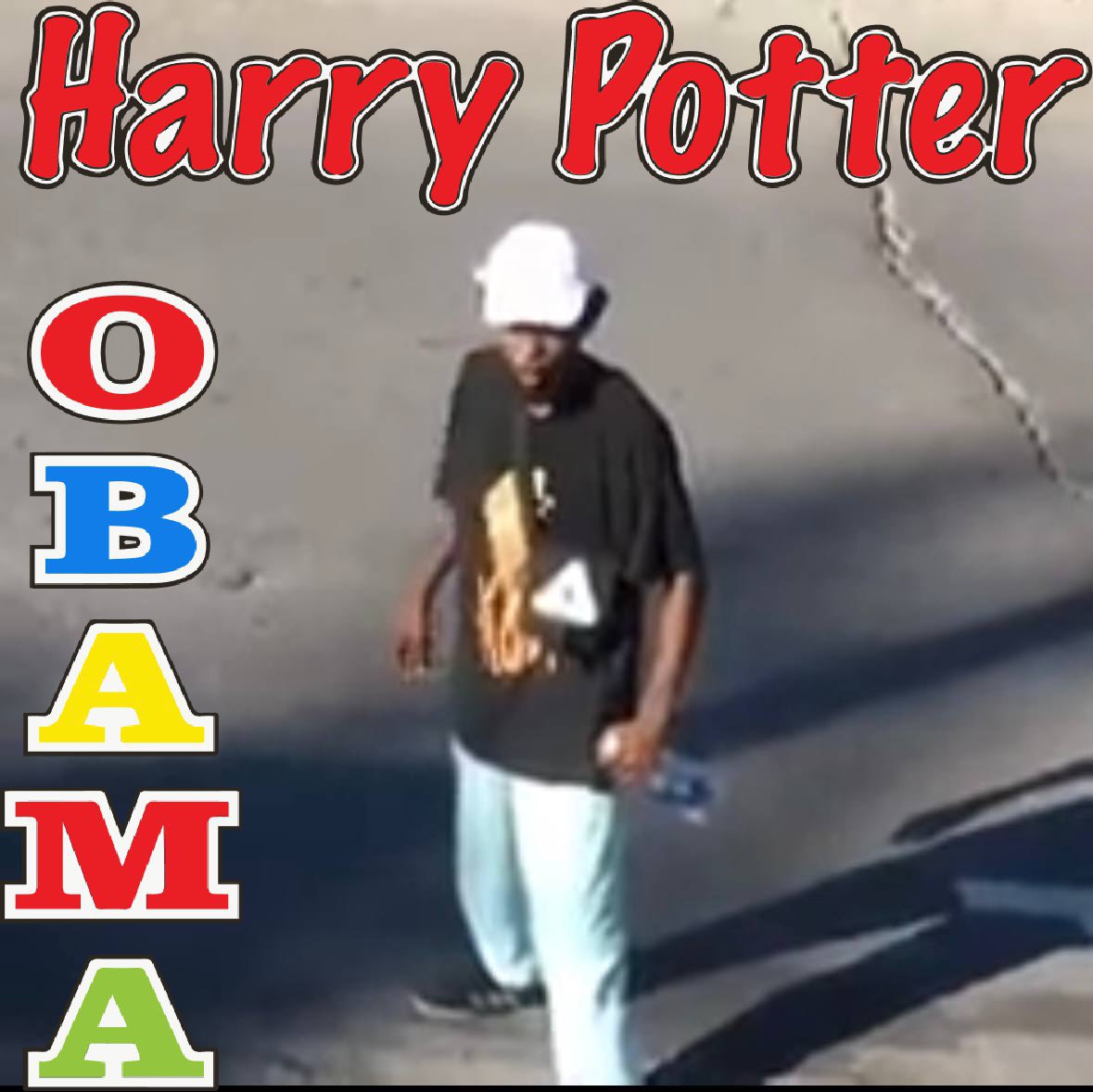 I think that’s it 

#HarryPotterObamaSonic10Inu