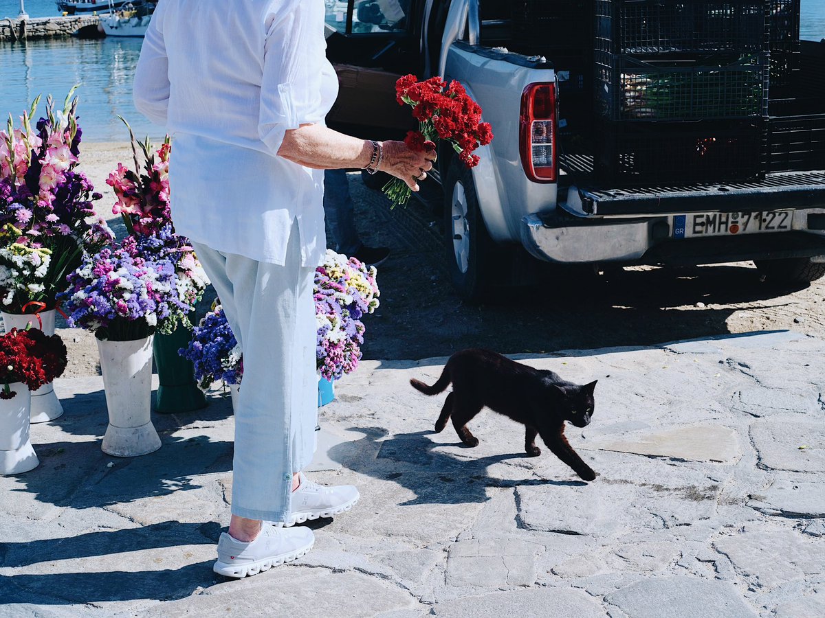 Natsuho Yamanaka tweet media