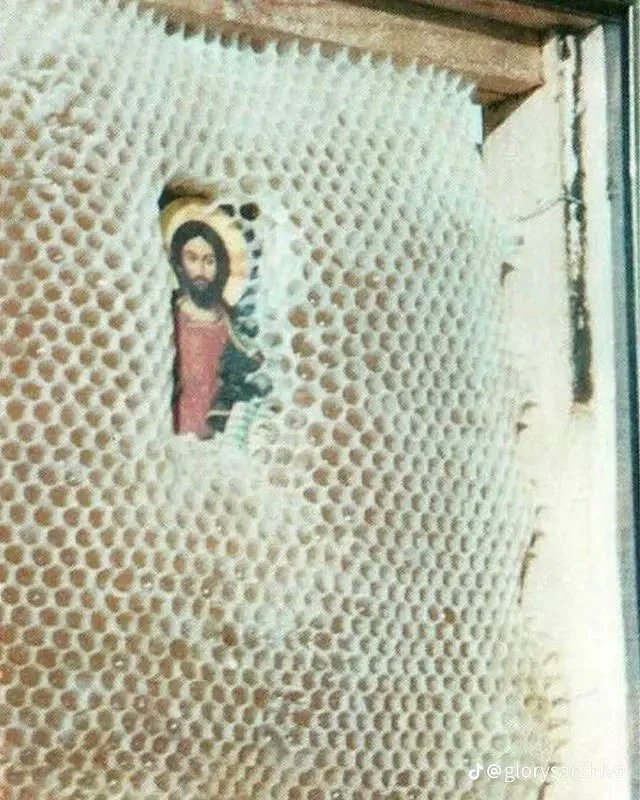 historyinmemes's tweet photo. A beekeeper in Greece put up and images for good luck and later found the beehive avoided the faces. https://t.co/bEpf1nal5Q