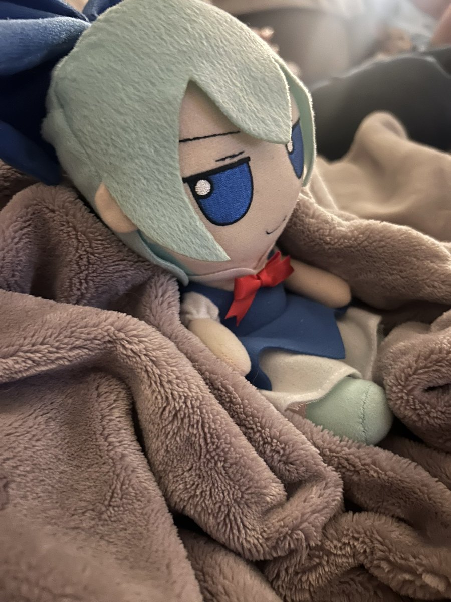 GongoTheGoober's tweet photo. Happy Fumo Friday!!! How are your fumos doing? Cirno is watching movies. https://t.co/SYqXTijdIE