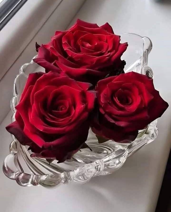 Good morning