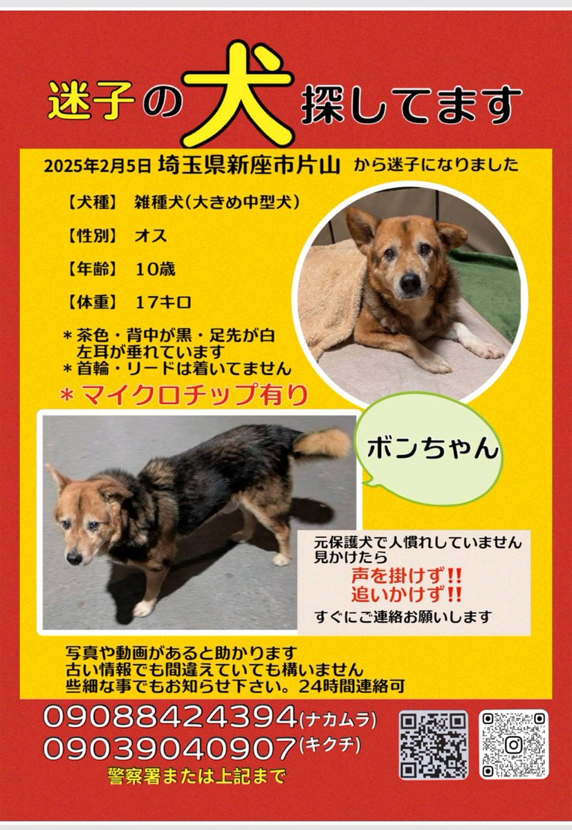 手掛かり無くとも必死に捜索しています‼️情報宜しくお願いいたします‼️🙇
#拡散希望 #迷い犬 #迷子犬 #新座市 ＃朝霞市 #西東京市 #練馬区 #清瀬市 ＃所沢市  #東京都 #埼玉県 #ひばりヶ丘 #東久留米 #練馬区 ＃大泉学園 ＃保谷