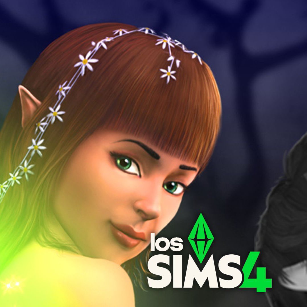 Info Simmer tweet media