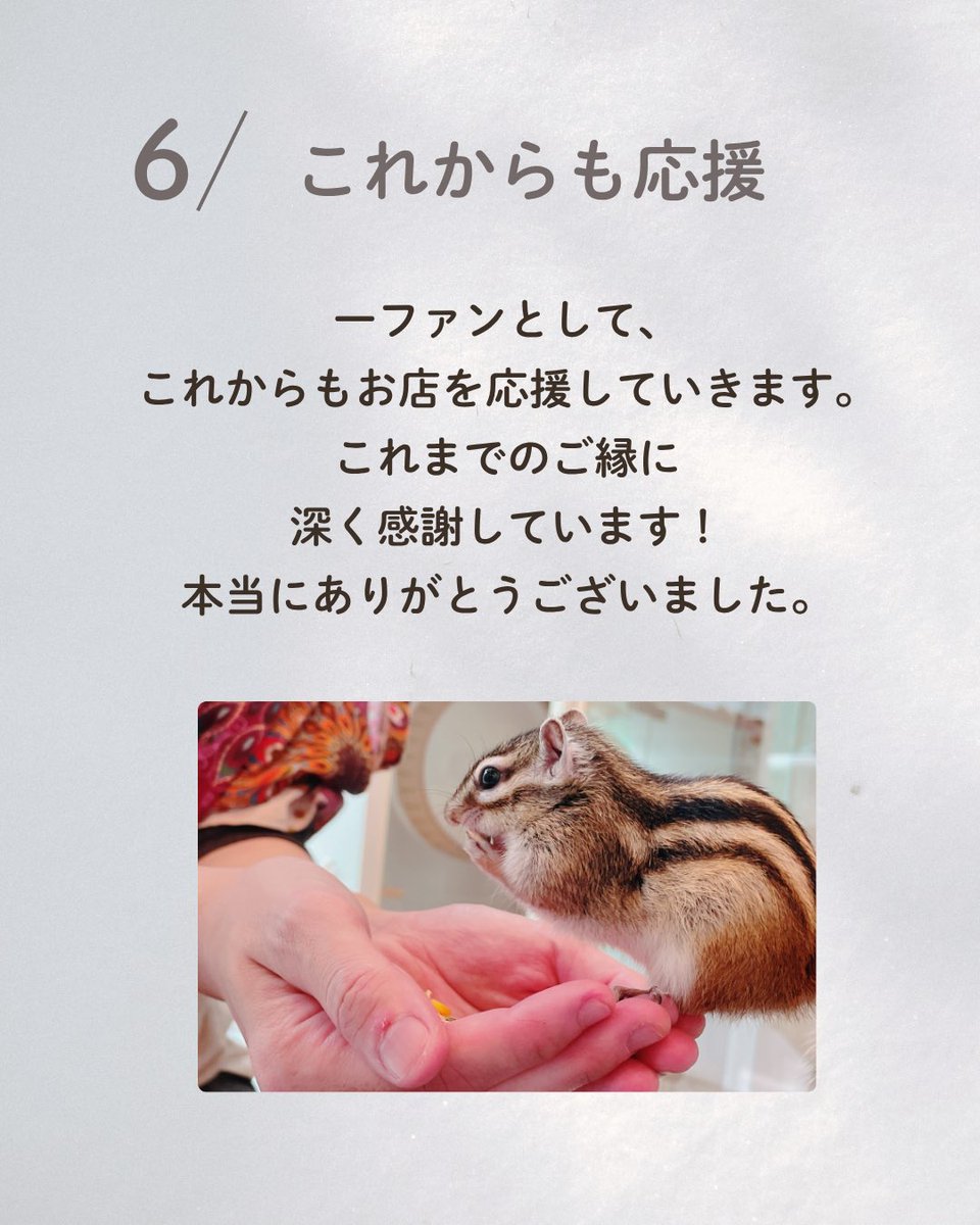 ayanuts12's tweet photo. もちろん、これでシマリス活動を終わりにするわけではありません。ゆっくりと、自分のペースで、また作品をお届けできるような日がくることを願いながら、今は一度立ち止まりたいと思います。 https://t.co/jShLeiNHnm
