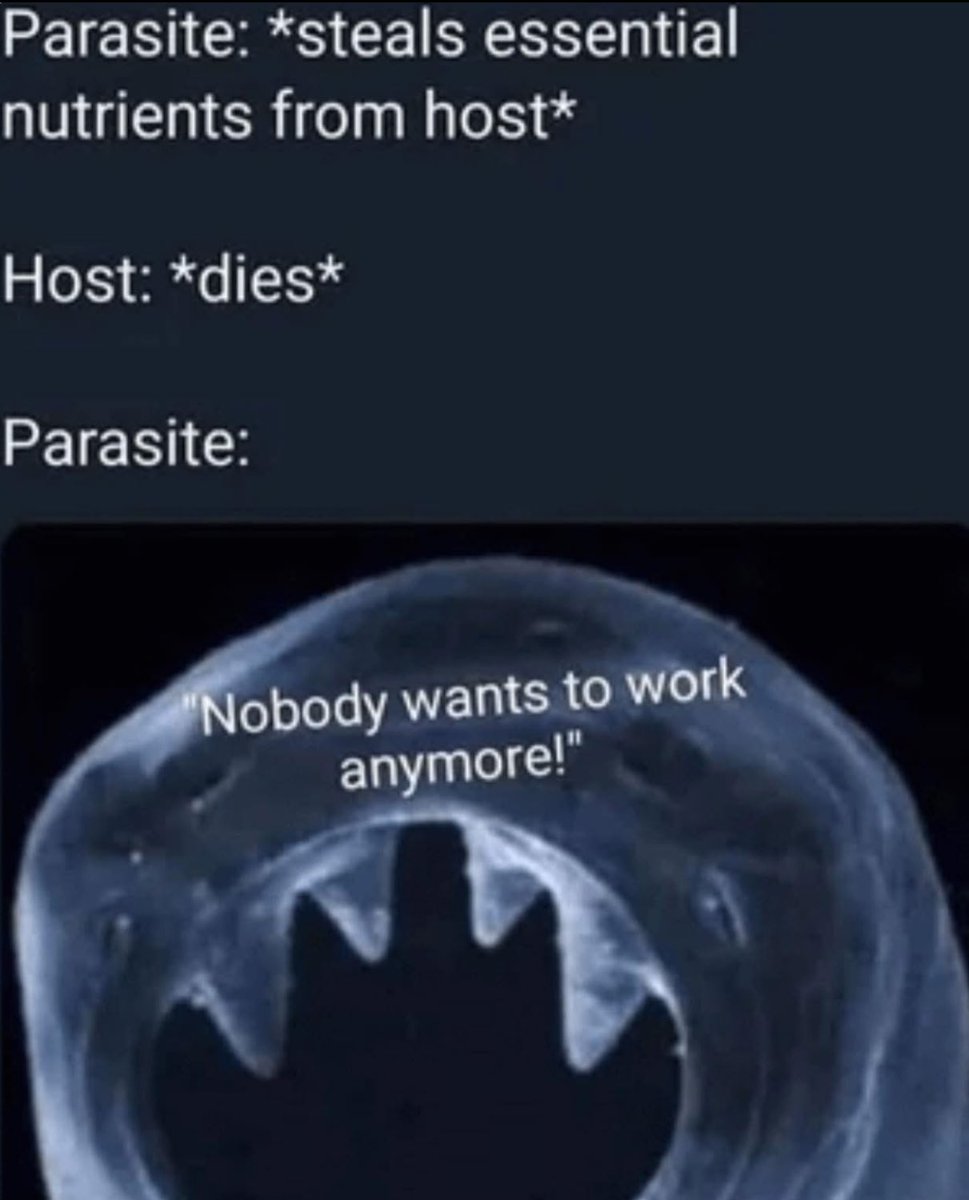 MC Squared (@mcsquared34) on Twitter photo 