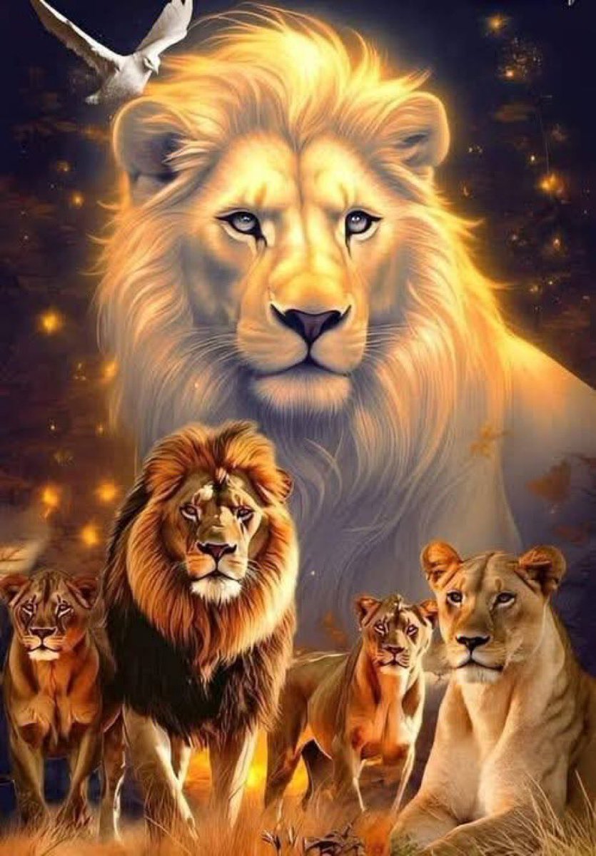 📣🚂CHARLIE👉(MAGA) (@ch2312554999211) on Twitter photo ❤️🇺🇸MAGA SHOUTOUT📣
👉FOLLOW & RT 2 🐝ADDED TO THE LIST
<a href="/Charlie42103733/">📣CHARLIE/MAGA 🇺🇸</a>👉IFB
<a href="/ch2312554999211/">DONALD J TRUMP FAN</a>👈IFB
<a href="/Wookie0624/">Ray</a> 📣
<a href="/Michell86056716/">⚜️🌺💜 🌺Michelle 🌺💜🌺⚜️</a> 🌹📣
<a href="/JohnMar05239136/">John Martinlives</a> 📣
<a href="/Reform_Edu_HQ/">Education Reform USA</a> 📣
<a href="/NotHedyLamar/">Not Hedy Lamar</a> 🌹📣
<a href="/LeesanVilla/">Leesan Villa</a> 📣
<a href="/MagaGarbageGuy/">🇺🇸🇺🇸 MGP 🇺🇸🇺🇸</a> 📣
<a href="/jtblogs25/">jtblogs25</a> 📣
<a href="/kylee_benn99075/">Kylee Bennett</a> 📣 ❤️🇺🇸MAGA SHOUTOUT📣
👉FOLLOW & RT 2 🐝ADDED TO THE LIST
<a href="/Charlie42103733/">📣CHARLIE/MAGA 🇺🇸</a>👉IFB
<a href="/ch2312554999211/">DONALD J TRUMP FAN</a>👈IFB
<a href="/Wookie0624/">Ray</a> 📣
<a href="/Michell86056716/">⚜️🌺💜 🌺Michelle 🌺💜🌺⚜️</a> 🌹📣
<a href="/JohnMar05239136/">John Martinlives</a> 📣
<a href="/Reform_Edu_HQ/">Education Reform USA</a> 📣
<a href="/NotHedyLamar/">Not Hedy Lamar</a> 🌹📣
<a href="/LeesanVilla/">Leesan Villa</a> 📣
<a href="/MagaGarbageGuy/">🇺🇸🇺🇸 MGP 🇺🇸🇺🇸</a> 📣
<a href="/jtblogs25/">jtblogs25</a> 📣
<a href="/kylee_benn99075/">Kylee Bennett</a> 📣