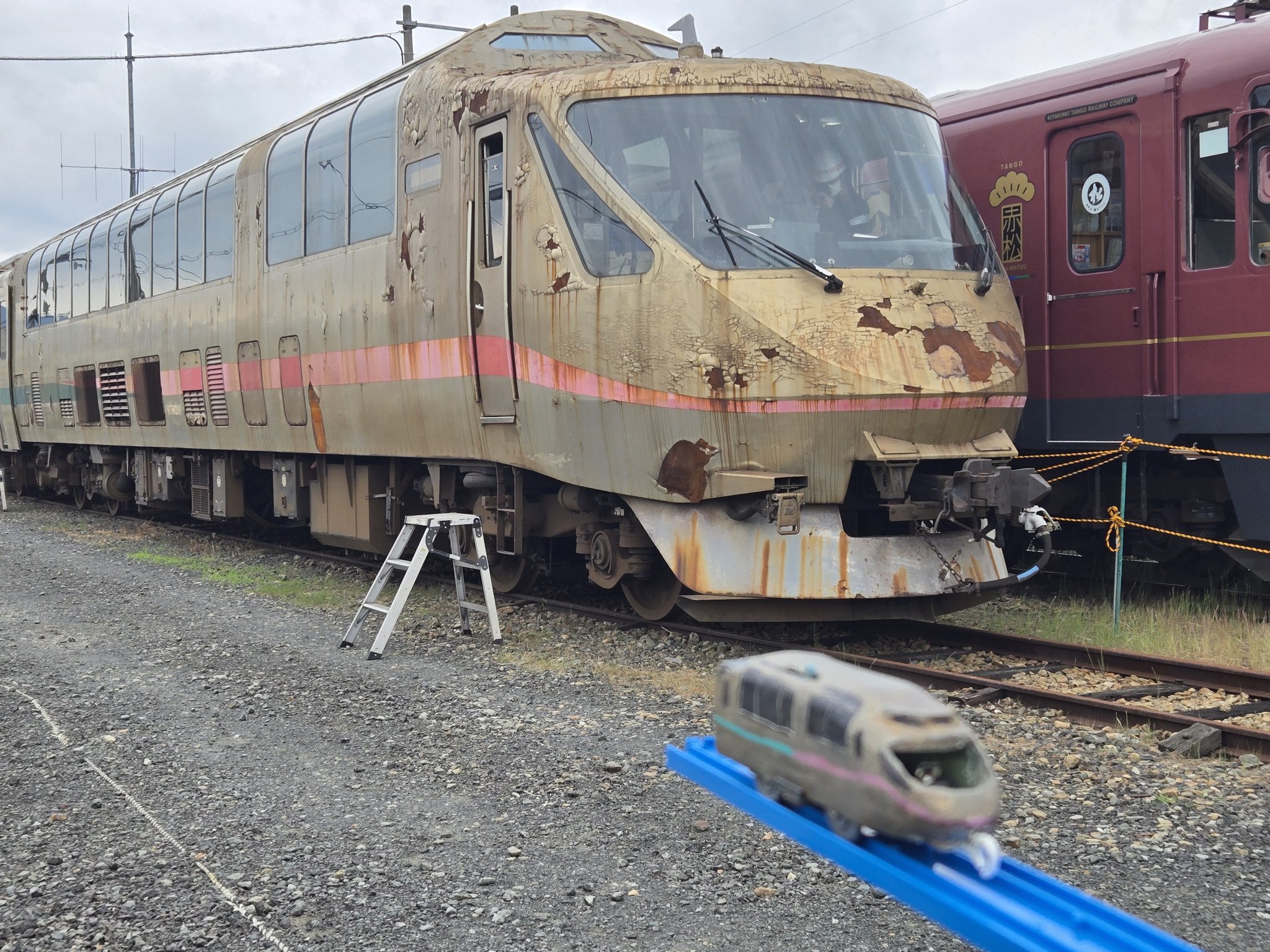 タンゴエクスプローラー - Search / X