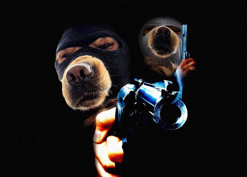 Unknown.exe tweet media