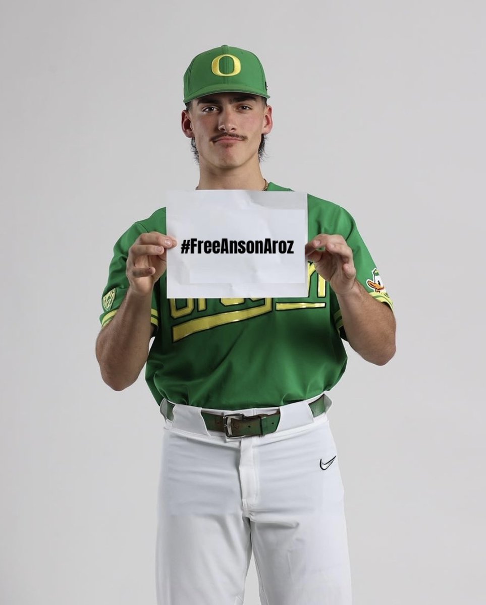 #FREEANSONAROZ