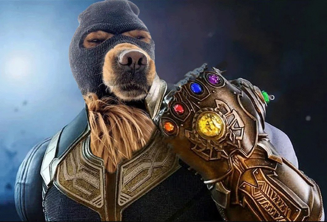 Unknown.exe tweet media