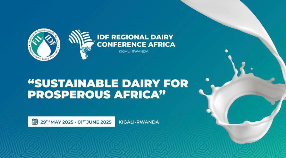 Today: the IDF Regional Dairy Conf Africa in Kigali, Rwanda, 29 May-1 Jun🌍"Sustainable Dairy for a Prosperous Africa" This conf unites experts, industry leaders &amp; enthusiasts to discuss advancements/challenges/opportunities in the African dairy sector bit.ly/4ihOgE6