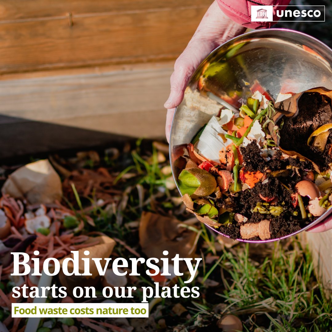 🍽️ 1/3 of all food is lost or wasted.

Cutting food waste is key to protecting biodiversity and building sustainable food systems.

Through initiatives like Biosphere Reserves and Creative Cities of Gastronomy, UNESCO supports sustainable food systems.

unesco.org/en/biodiversity