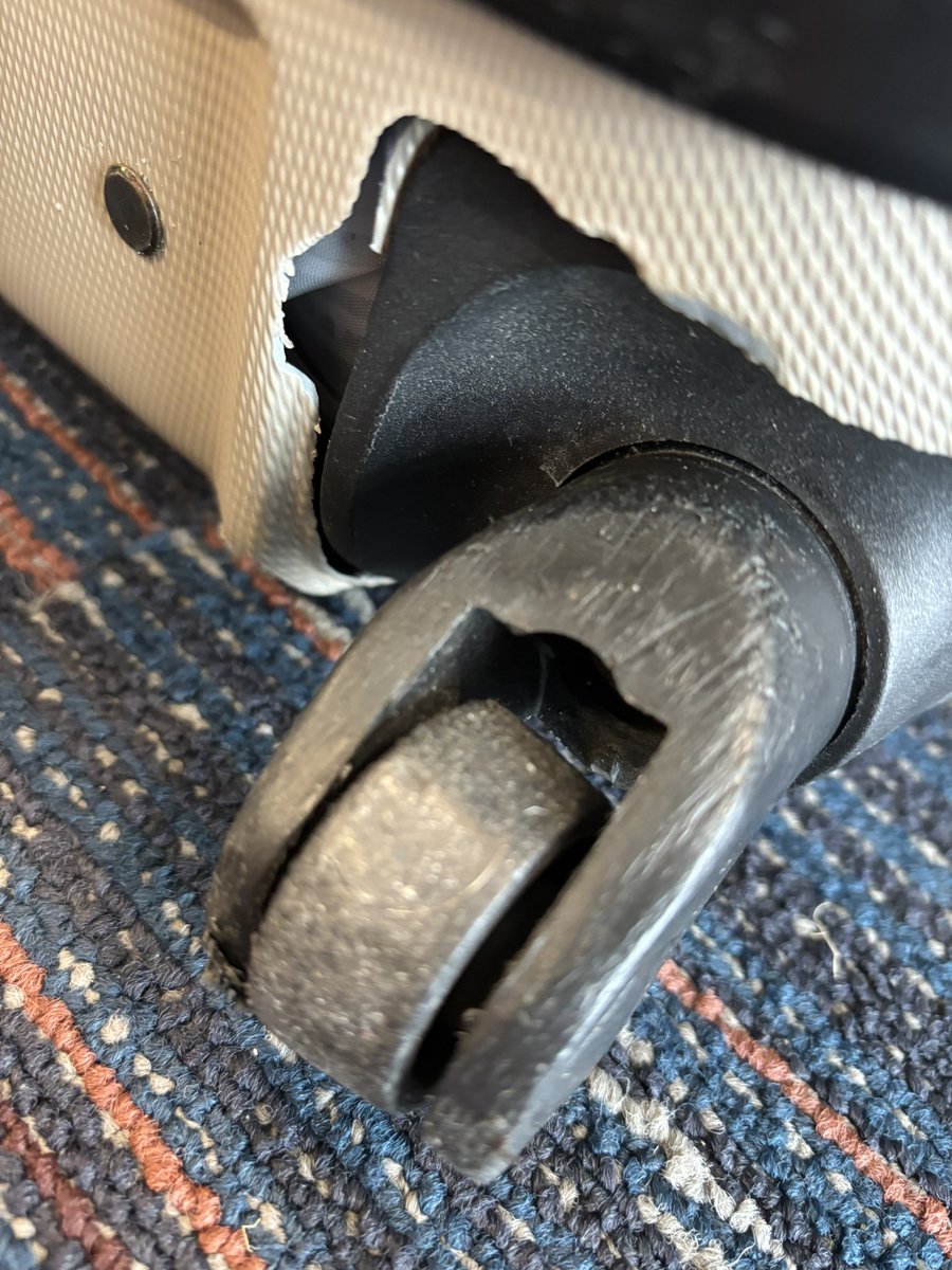 Amy Moran tweet media