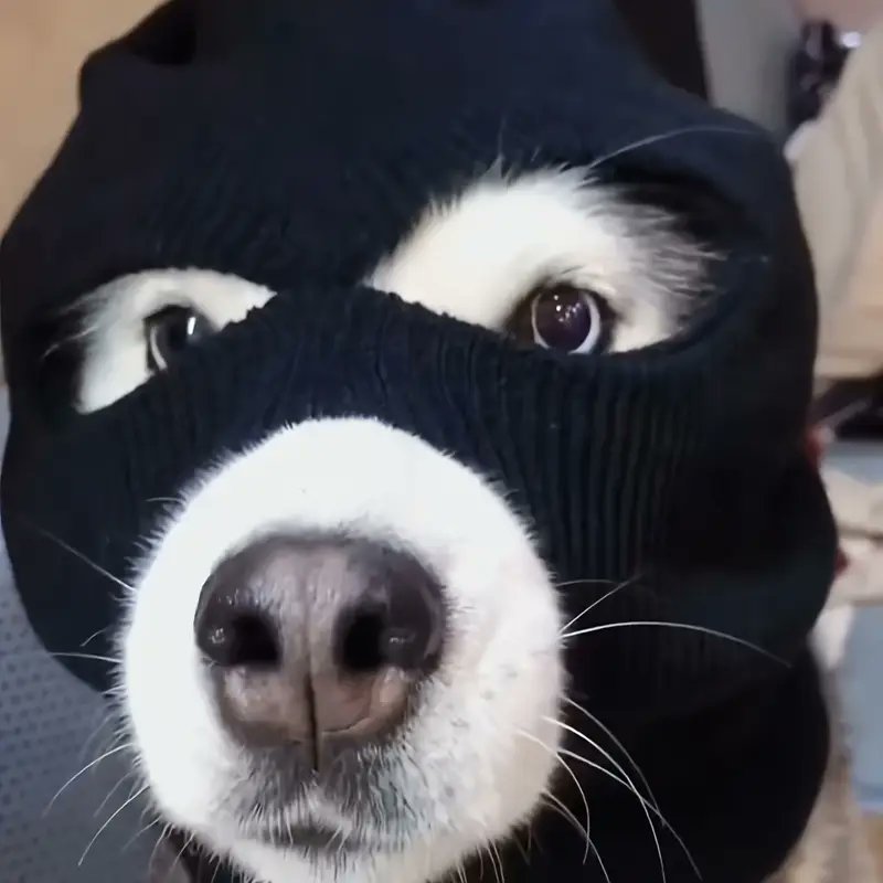 Flawless tweet media