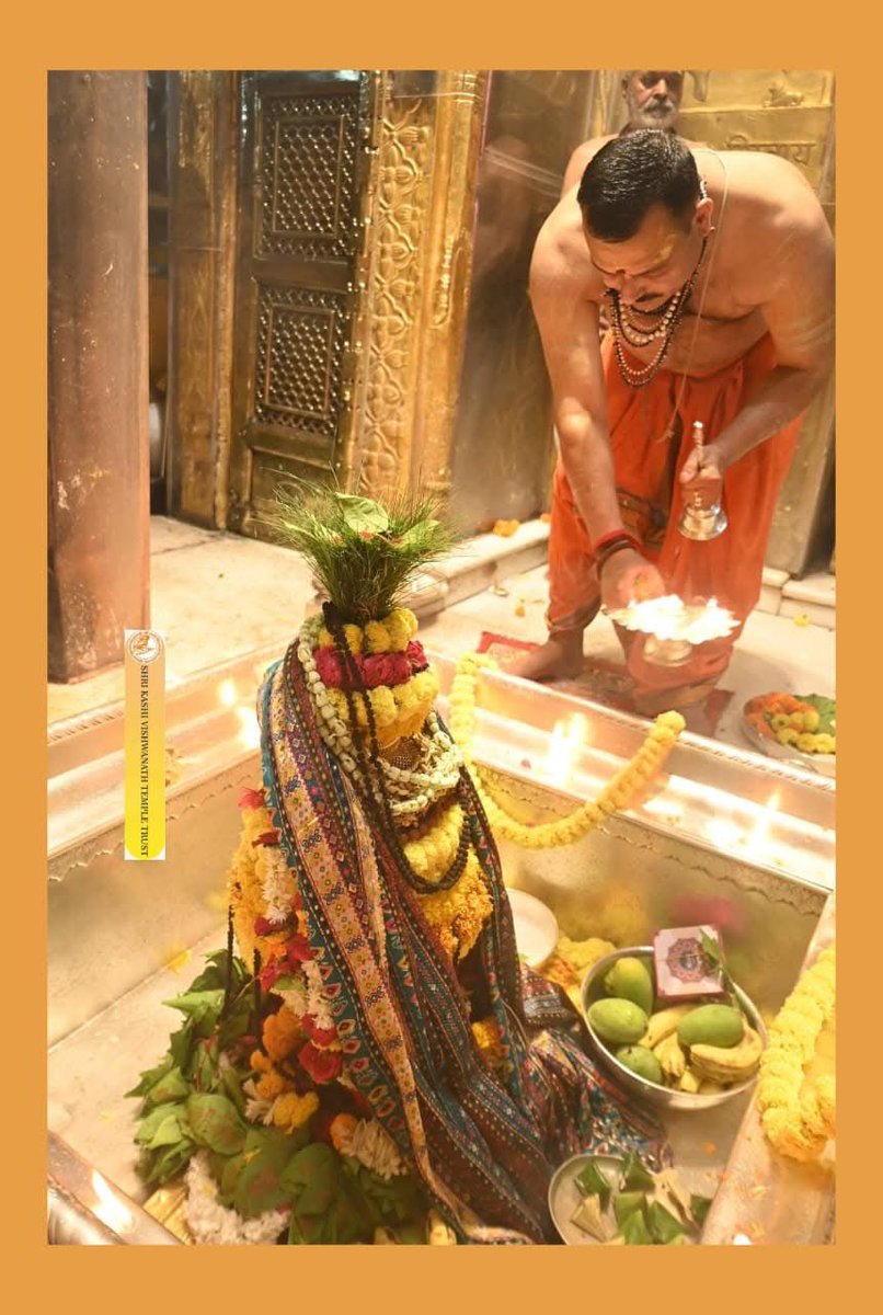 श्री काशी विश्वनाथ ज्योतिर्लिंग जी के प्रातःकाल के मंगल दर्शन 31.05.2025