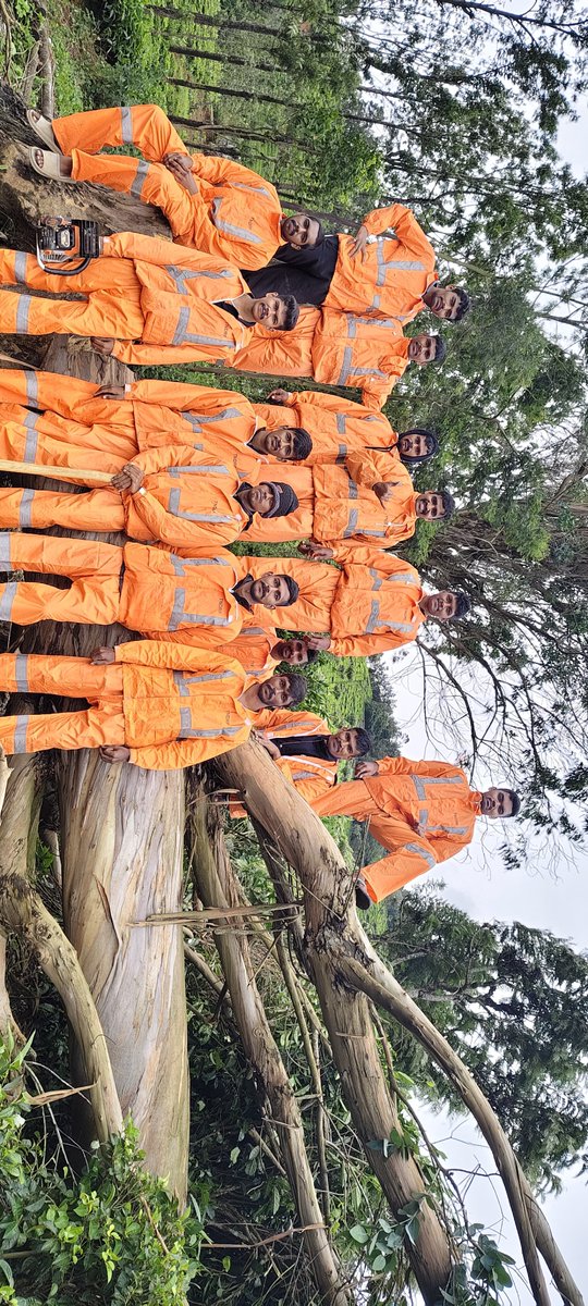 TNDRFHQ's tweet photo. தென்மேற்கு பருவ மழை பேரிடர் மீட்பு பணிக்காக குந்தாவில் முகாமிட்டுள்ள #TNDRF B2 Team 30.05.2025 - 1400 மணிக்கு குந்தா பாலம் அருகில் 
மைநிலைமட்டம் என்ற இடத்தில் சாலையோரத்தில் விழும் நிலையில் இருந்த மரத்தை முன்னெச்சரிக்கையாக   அப்புறப்படுத்தினர்… #rescue #SouthwestMonsoon2025 https://t.co/D7FrvxQTOj