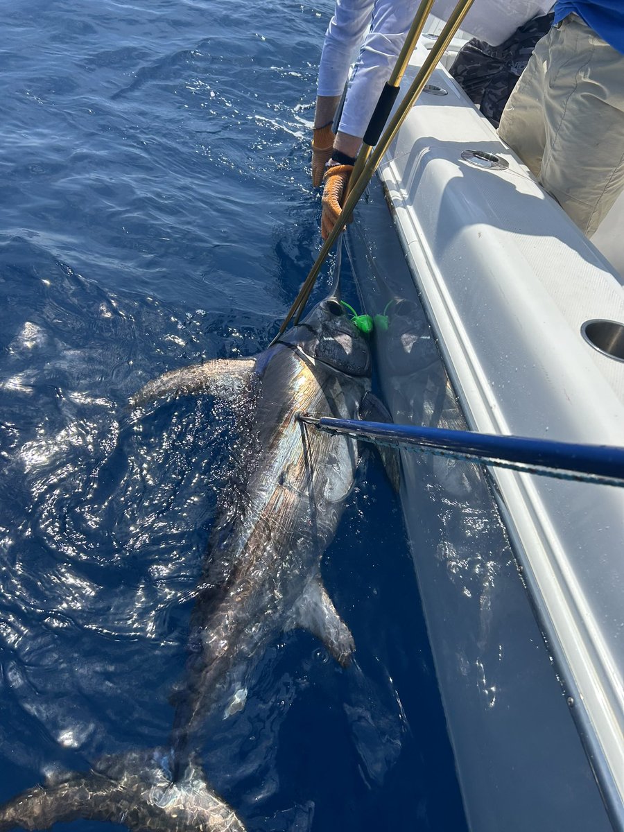 Will Baker tweet media