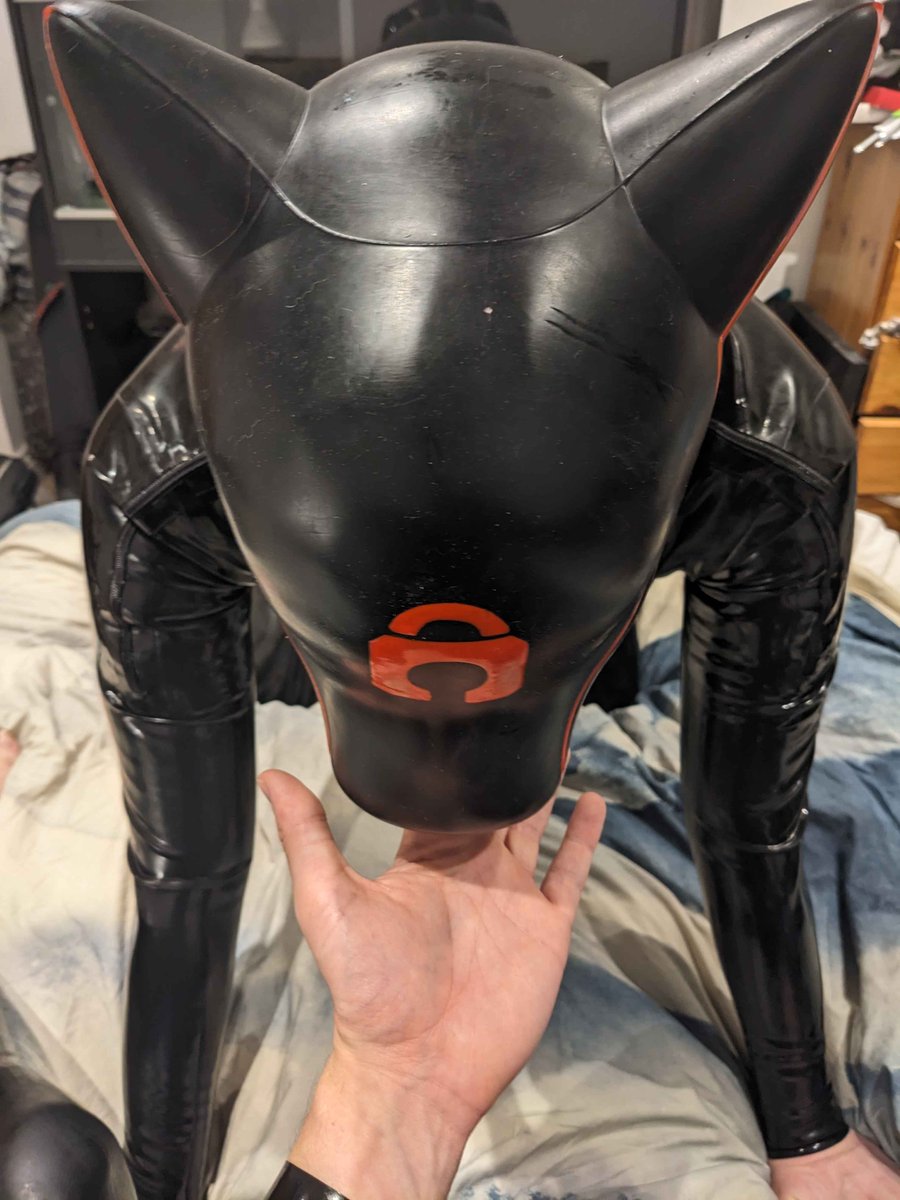 Breaking out the <a href="/furrjoi01/">FURRJOI</a> hood for attention.

Turns out you can feed latex sex dogs from the hand. Who knew? (All of you, probably. Deviants.)