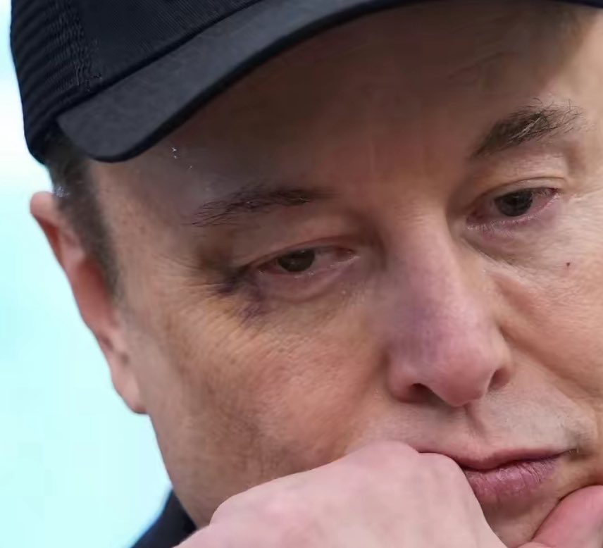 Elon got pieced up by a geriatric accountant that’s embarrassing