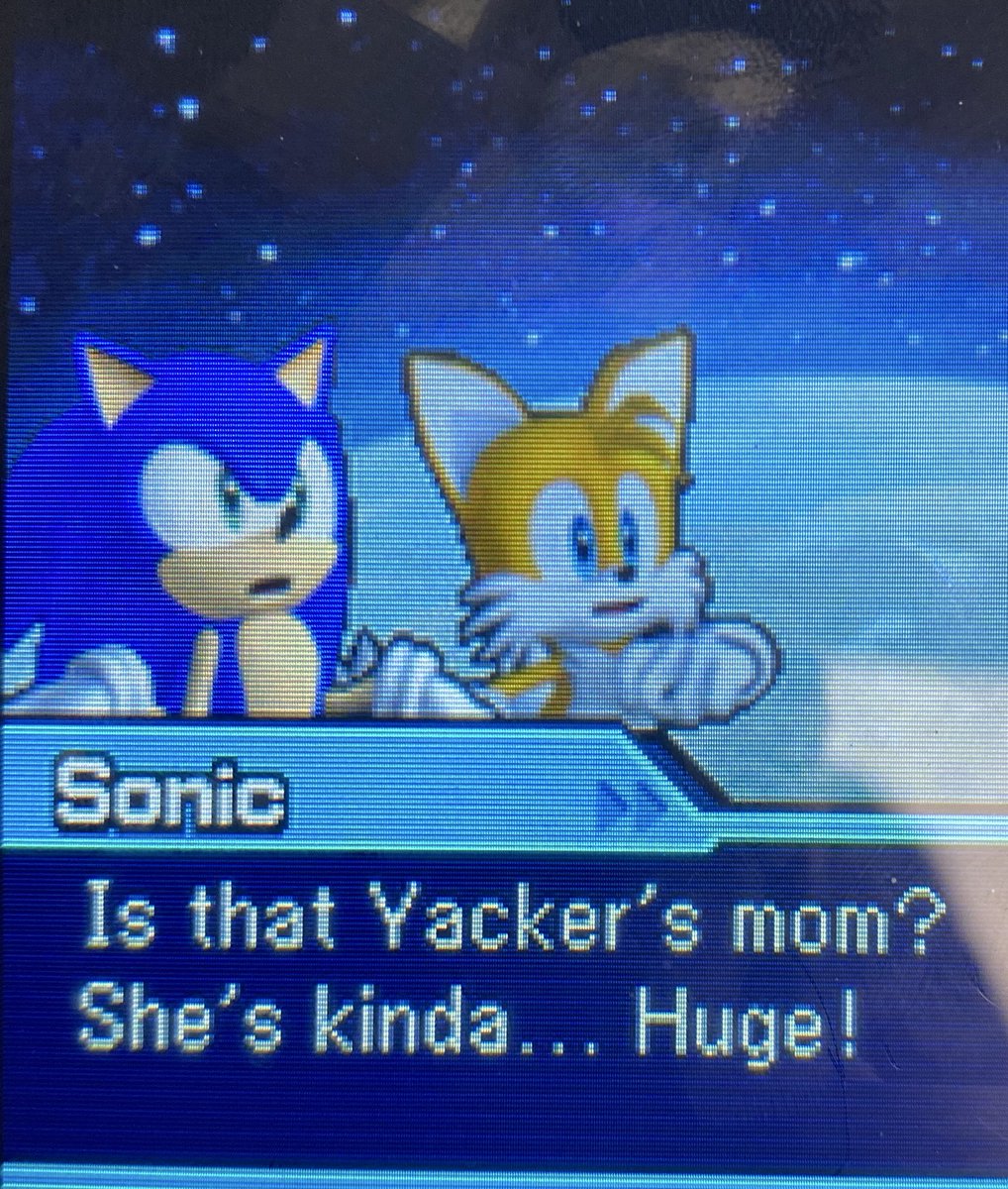 Sonic you can't just go around callin' other peoples mothers huge dude