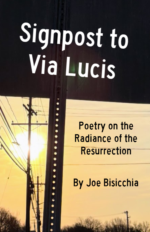 Joe Bisicchia tweet media