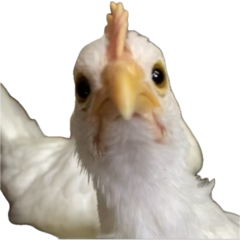 Oscurid4d's tweet photo. Voltei meus amigos https://t.co/as8dyTohap