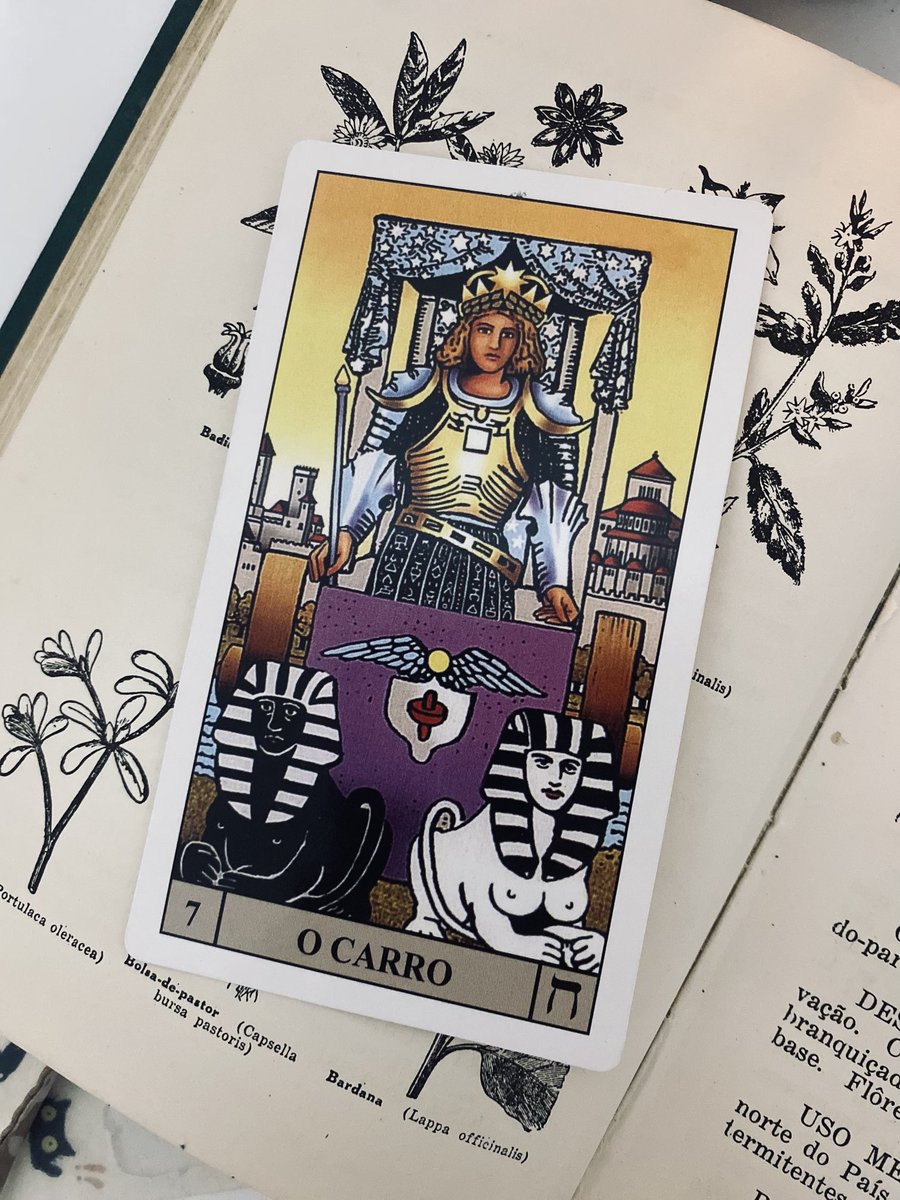 melloracles's tweet photo. ♊️✨ GÊMEOS — JUNHO:

A vida começa a andar nesse novo mês, te tirando da estagnação e levando rumo ao avanço, à vitória, às grandes conquistas e possibilidades. Aqui você mesmo estará abrindo seus caminhos, abrindo espaço para chegar onde deseja chegar, escolhendo bem as direções que deve seguir com base no que de melhor você deseja alcançar – e vai alcançar.

Junho reverbera energia de vitória, progresso em planos e projetos, mostrando que apenas a ação com fé, a disposição com foco no caminho certo, sem distrações, é o que leva ao sucesso. Não existe fórmula mágica; existe capacitação e determinação, com um bom controle mental para não se desviar do objetivo.

Junho te resgata e volta a te colocar no controle de onde nunca deveria ter saído.