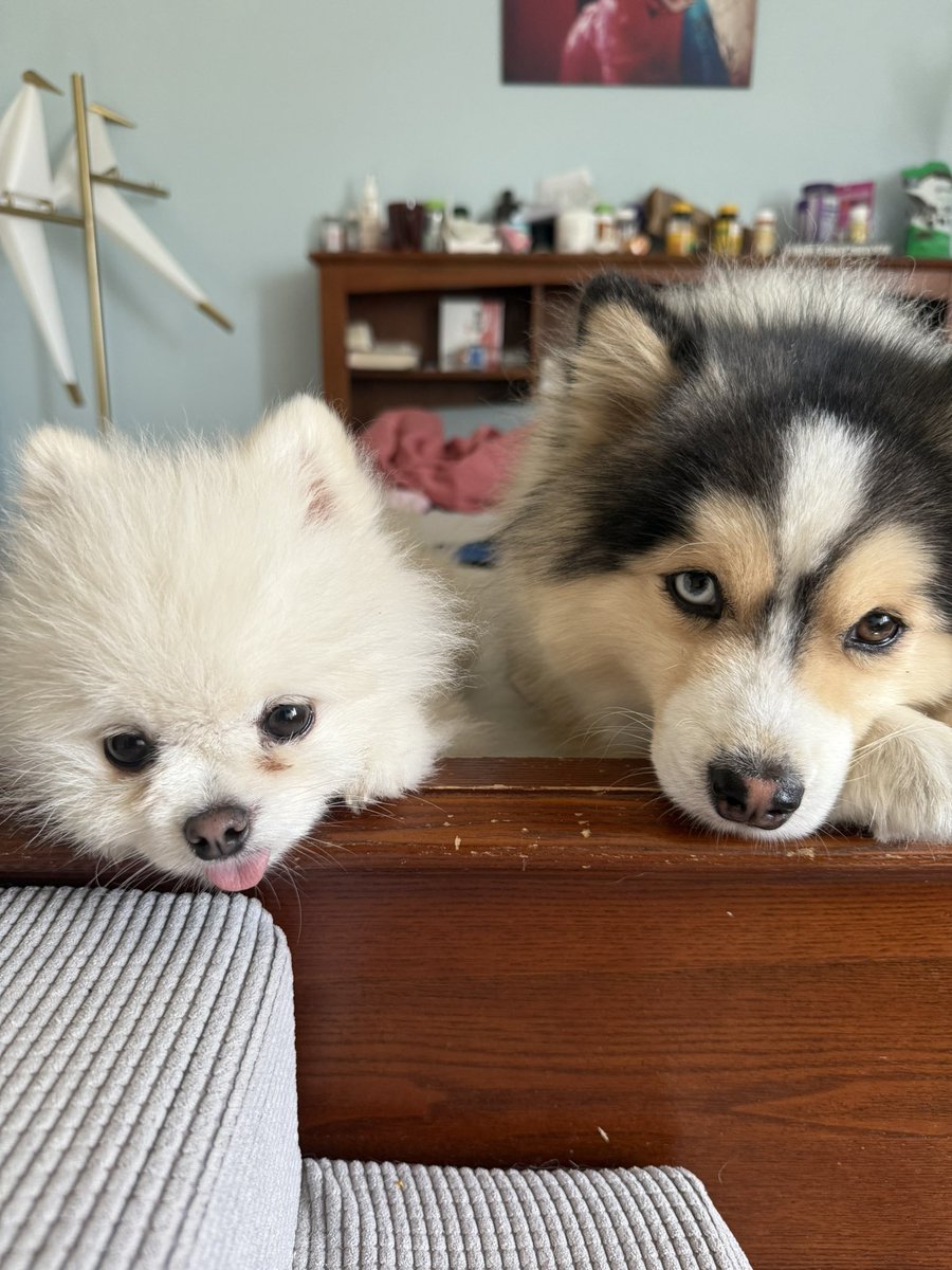 triciaisabirdy's tweet photo. My boys waiting for me to finish my game. 🥹🥺 https://t.co/6RoI27SJZO